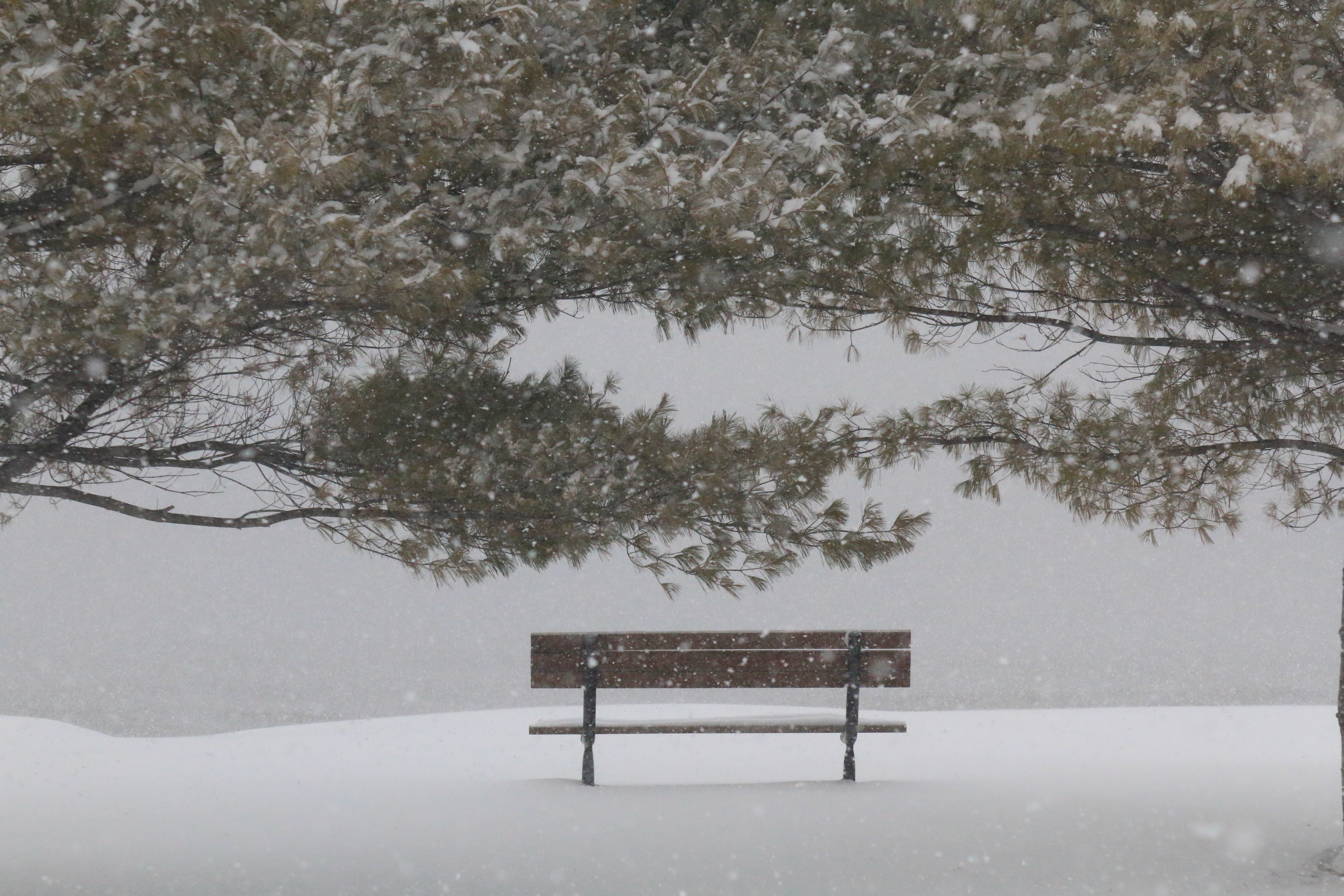 A Snowy Park Bench